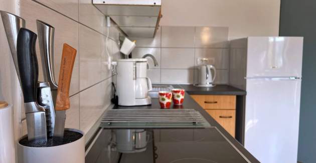 Apartment Gorisek 1 – Seafront, Sea View