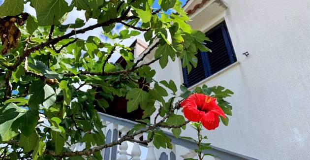 Apartment Horvat 1 – Sea View