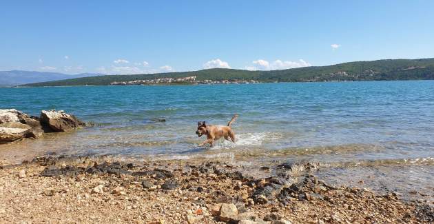 Apartment Sally – 100 m from Sea