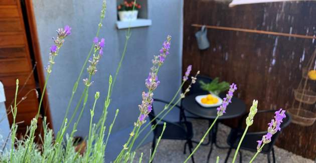 Studio Apartment Savic – 90 m from the Beach