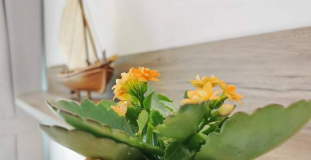 Monolocale Glorijeta – vista mare, 25 m dal mare