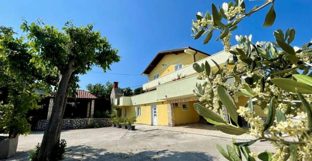 Top Apartment 1 – Pet- and Wheelchair-Friendly