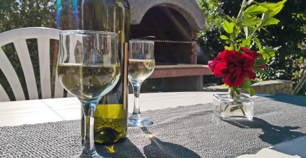 Top Apartment 1 – Pet- and Wheelchair-Friendly