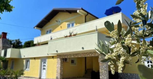 Top Apartment 2 – Pet- and Wheelchair-frendly