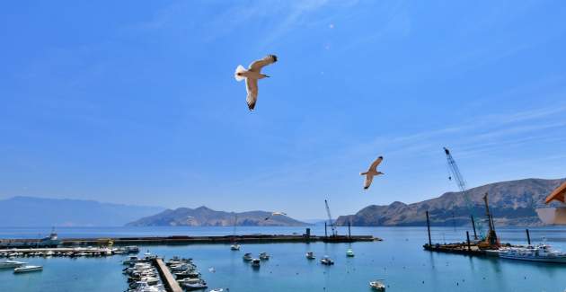 Apartment Captain Harbor