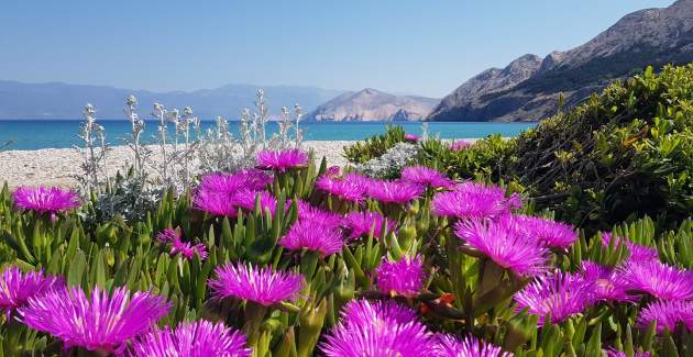 Apartment Fantov - in the old Part of Baska, with a nearby Parking