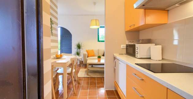 Apartment Nana priz - with large Terrace