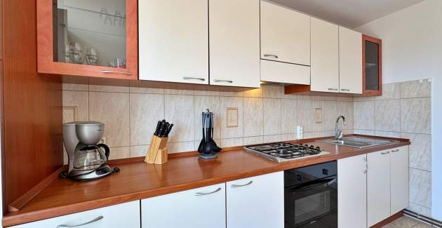 Apartment Pavle 2 – Pet-Friendly, Sea View
