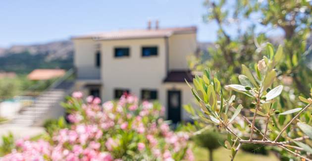 Apartment Garden No.1 - with Pool